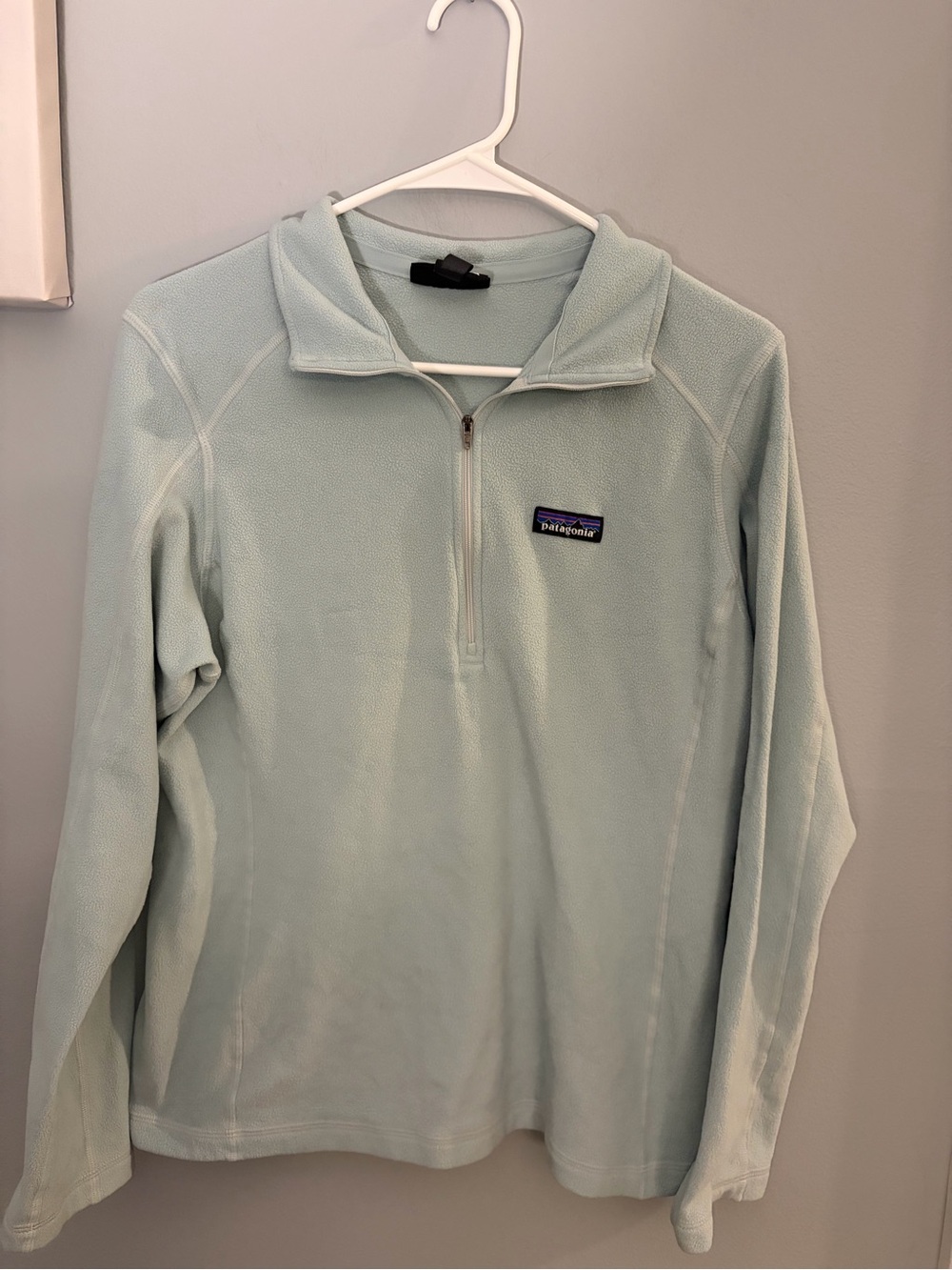 Patagonia Women's Micro D Quarter Zip Light Sage Mint Green Pullover Size L